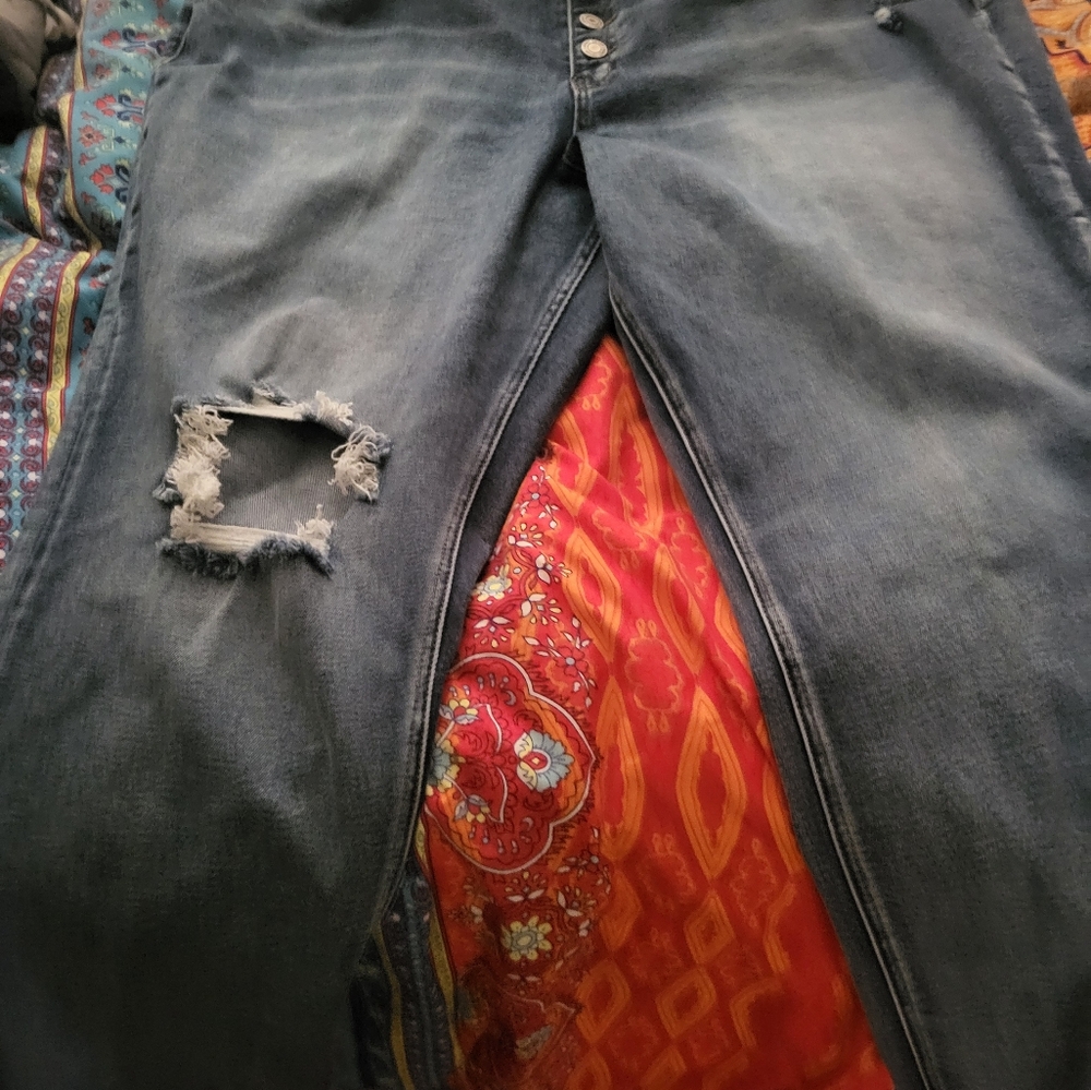Plus size button fly distressed jeans